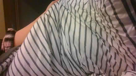 Photo of free excess bedding (BA2) #2
