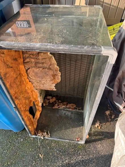 Photo of free 90x45x50 Turtle, Glass Tank (Branksome Dorset BH12) #2