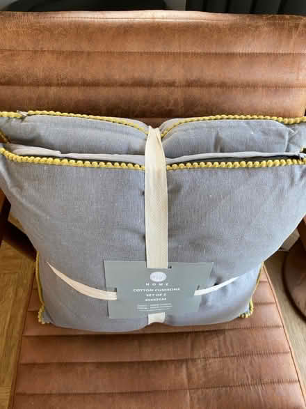 Photo of free Cushions (Cheltenham GL53) #2