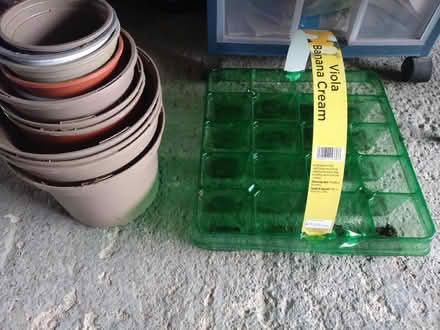 Photo of free Plant pots (AB32) #1