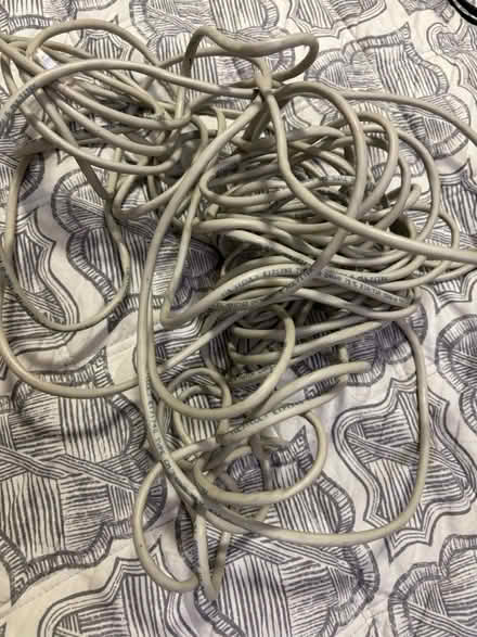 Photo of free Long (25, 30, 50’?) Ethernet cable (Mitty High area) #1