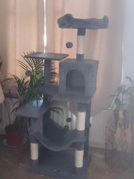 Photo of free Cat scratcher (N16) #1