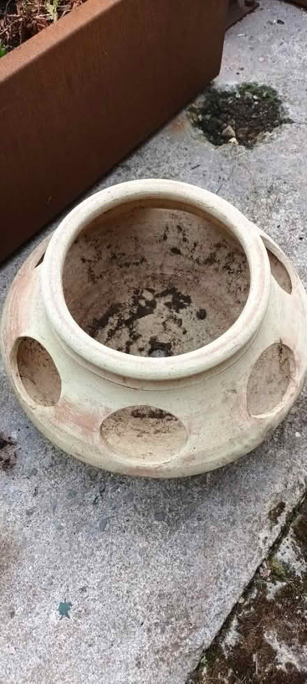 Photo of free Terracota strawberry plant pot (Bear flat) #1