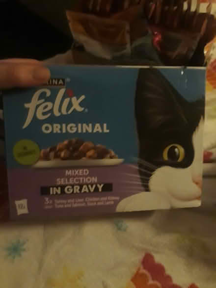 Photo of free wet cat food (G20 Glasgow Maryhill) #4
