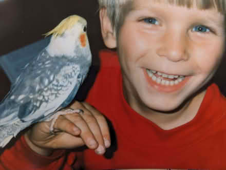 Photo of Bird bath (Framfield TN22) #1