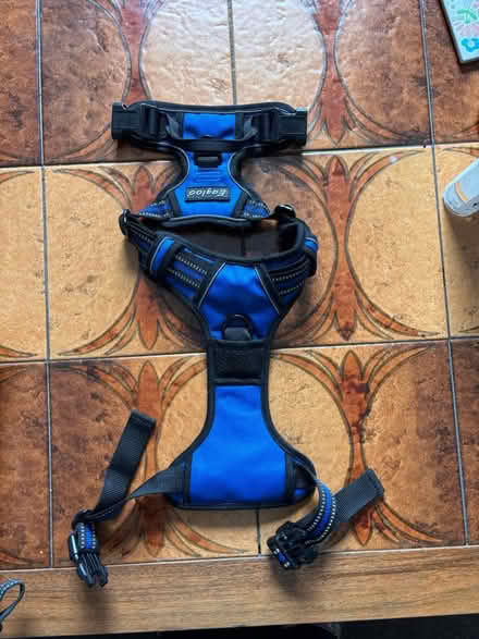 Photo of free Dog harness size medium (Tredworth GL1) #1