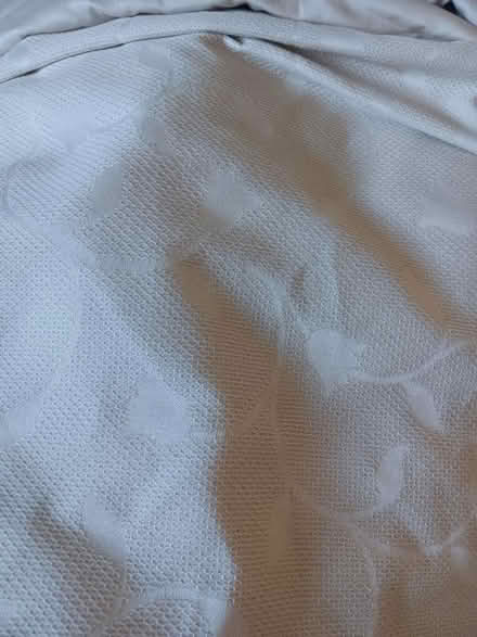 Photo of free Curtains (Eh166dd) #1