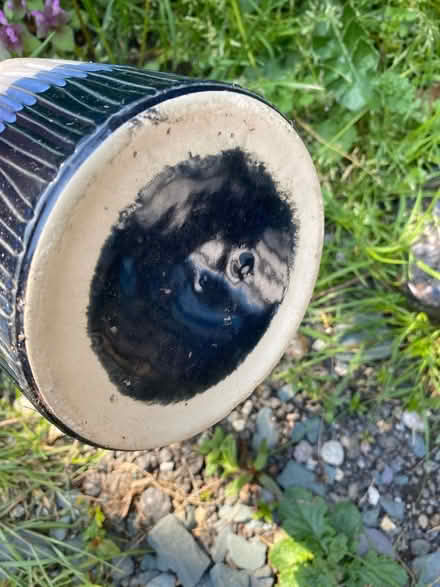 Photo of free Indoor plant pot (AL4, St albans) #3
