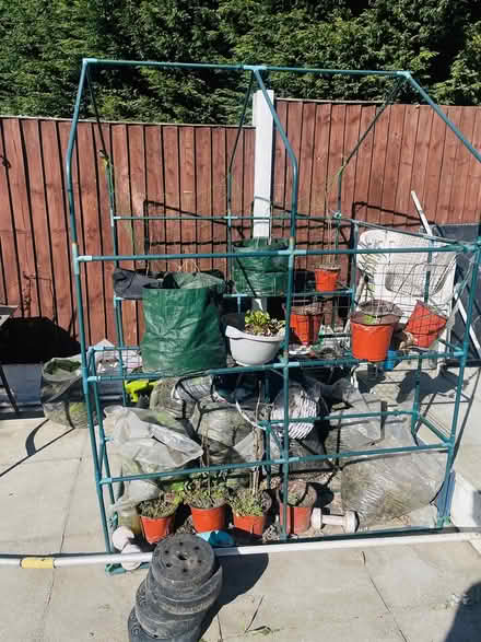 Photo of free Green house frame with shelves (L30) #1