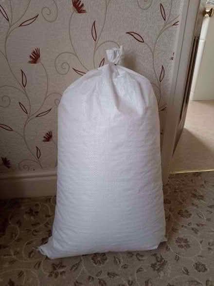 Photo of free Polystyrene beads (Great Sankey WA5) #1