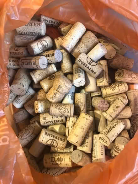 Photo of free Corks (approx 75) for crafts? (Fulwood Barracks PR2) #1
