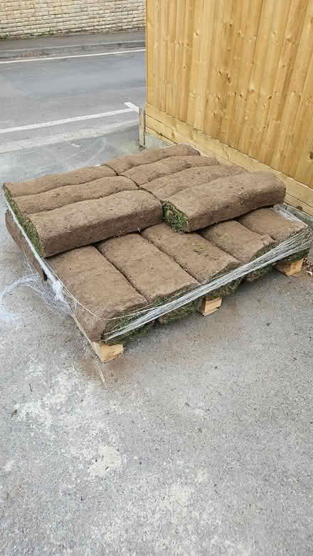 Photo of free Lawn grass rolls (Larkhall, Bath) #1