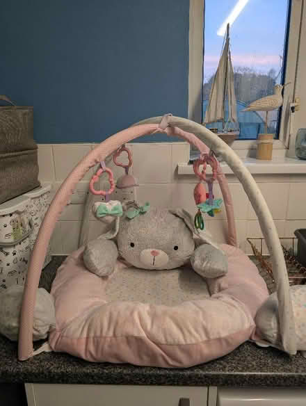 Photo of free Pink rabbit play mat (CO11) #1