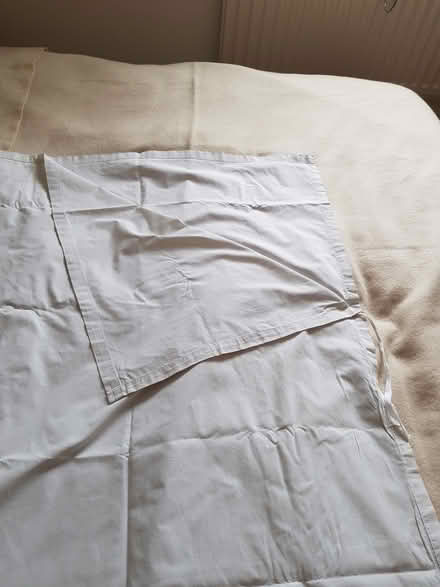 Photo of free Sheet Sleeping Bag (North Abingdon, OX14) #3