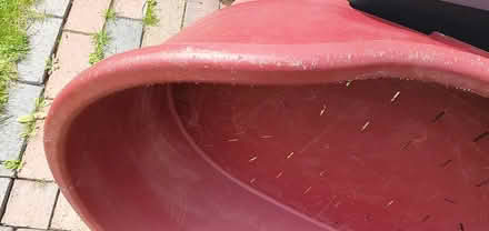 Photo of free large dog bed (Hengistbury Head BH6) #3