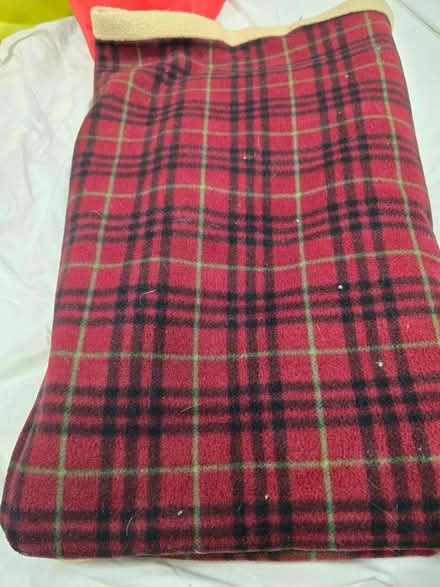 Photo of free Pet blanket (Woodridge) #1