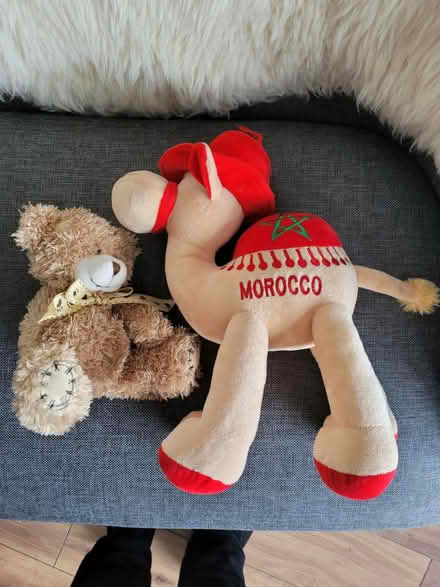 Photo of free Soft toys (Harlington, LU5) #2