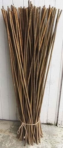 Photo of Willow (Culgaith CA10) #1