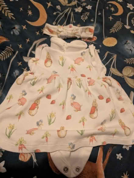 Photo of free Girls Peter rabbit vest dress and headband (CO11) #1