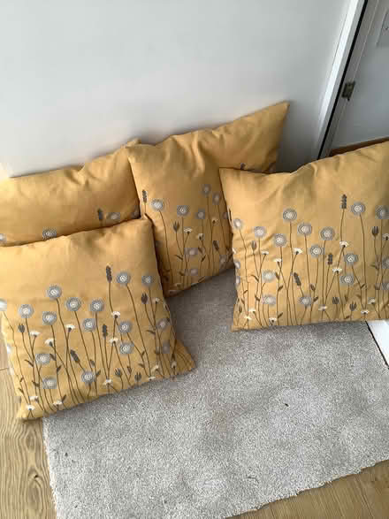 Photo of free 2 sets of 4 scatter cushions (TQ1. Torquay) #1