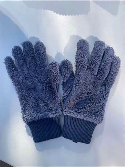 Photo of free Glass scarf gloves mask bags (B16 near Canals) #4