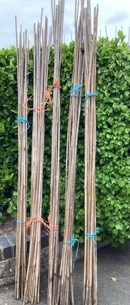 Photo of free Bean sticks (south hereford 3miles) #1