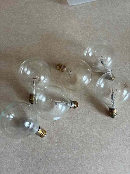 Photo of free Round incandescent bulbs (Burnhamthorpe and Tomken) #1
