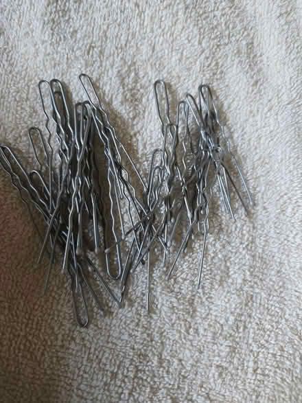 Photo of free Silver Hair pins (Woodridge) #2