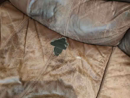 Photo of free leather sofa (Hove BN3) #3