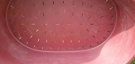 Photo of free large dog bed (Hengistbury Head BH6) #2