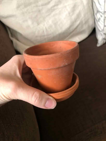 Photo of free Terracotta pot & saucer (Forest Hill SE23) #1