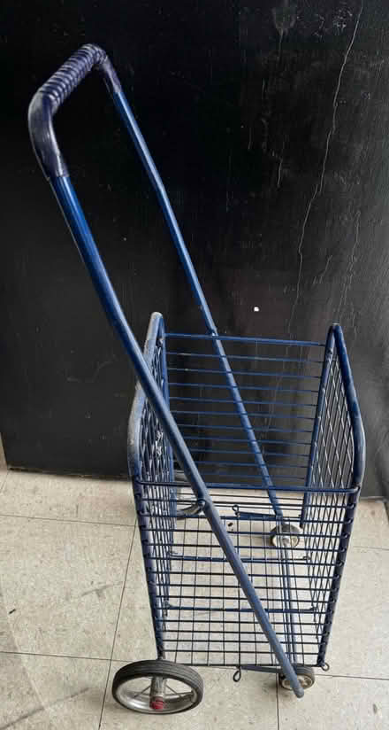 Photo of free Mini shopping cart (Briarwood Jamaica) #2