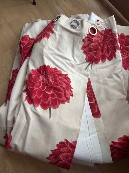 Photo of free Curtains (Euxton PR7) #1