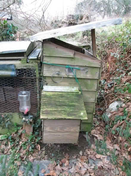 Photo of free Chicken hut (Llanystumdwy LL52) #2