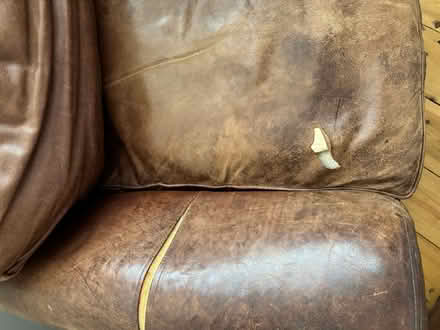 Photo of free Leather sofa and armchair (Finchley N12) #4