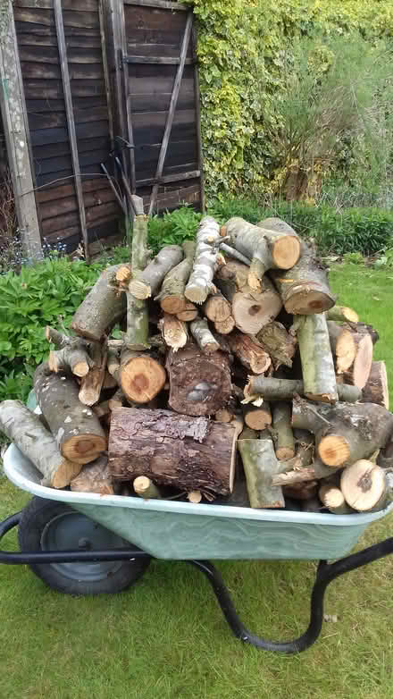 Photo of free Apple wood logs (ME19 West Malling area) #1