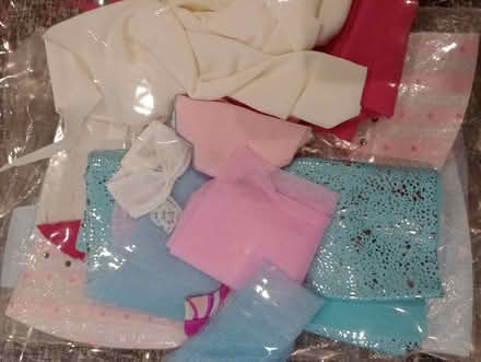 Photo of free Disney princess model dress up kit (Nailsea BS48) #2