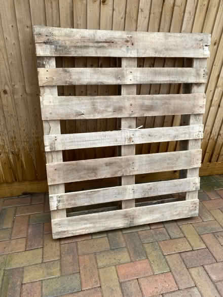Photo of free Pallet (CT16) #1