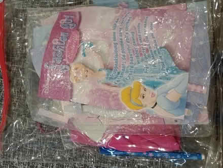 Photo of free Disney princess model dress up kit (Nailsea BS48) #1