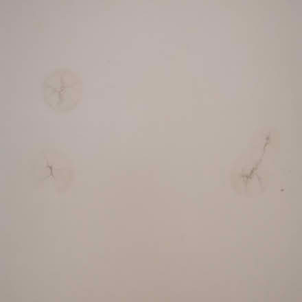 Photo of free Baby Changing table (Felling) #2
