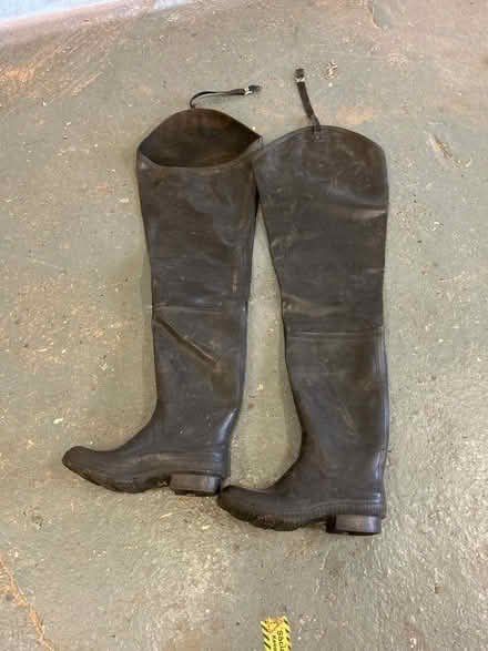 Photo of free Waders (Oulton Broad NR32) #1