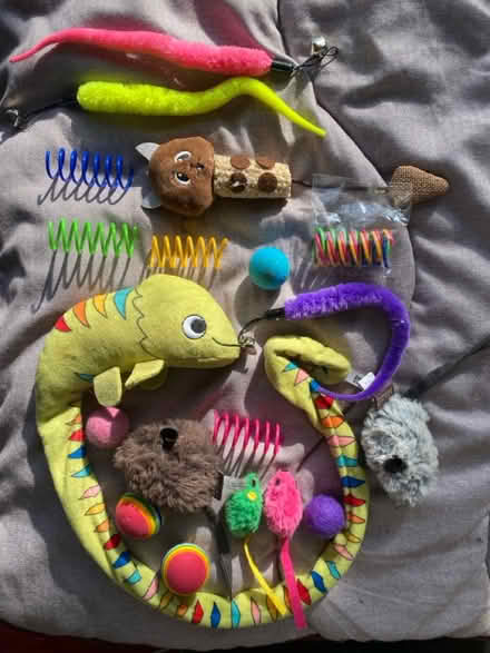 Photo of free Various cat toys (Harlesden) #1