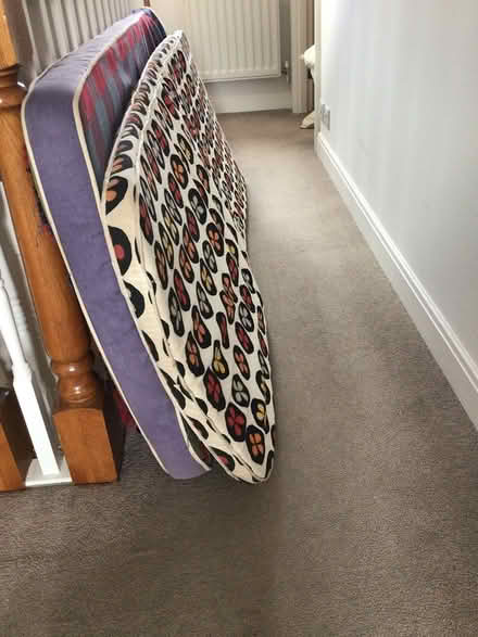 Photo of free Two old foam mattresses (Christchurch Town Centre) #2