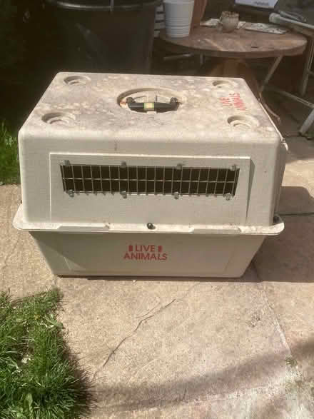 Photo of free skykennel (SW16) #3