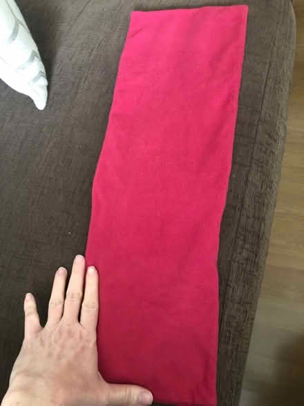 Photo of free Fleece case for neck cushion/scarf (Forest Hill SE23) #1