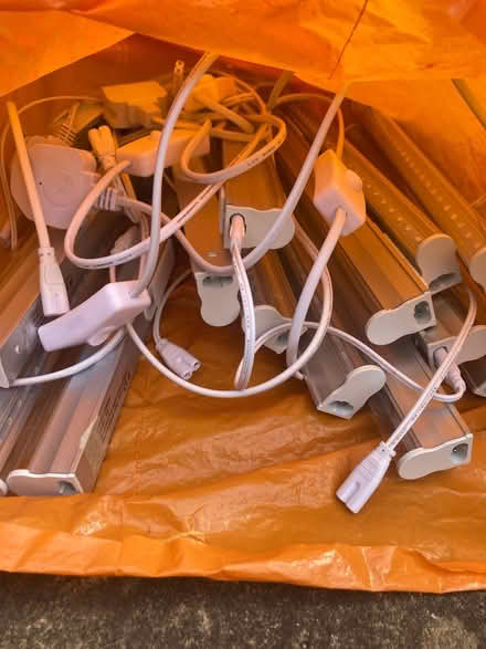 Photo of free Lights for plants x16 (Florence park OX4) #2