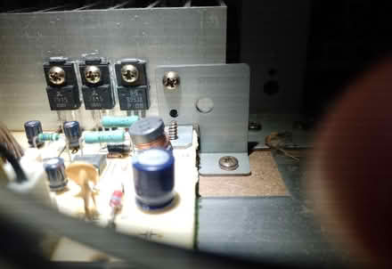 Photo of free More strawberries and raspberries (Trowbridge (BA14)) #2