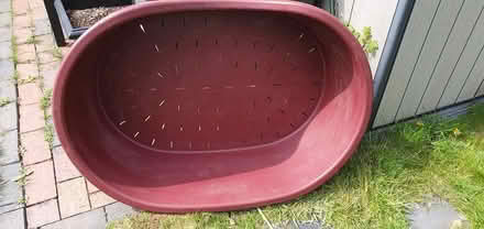 Photo of free large dog bed (Hengistbury Head BH6) #1