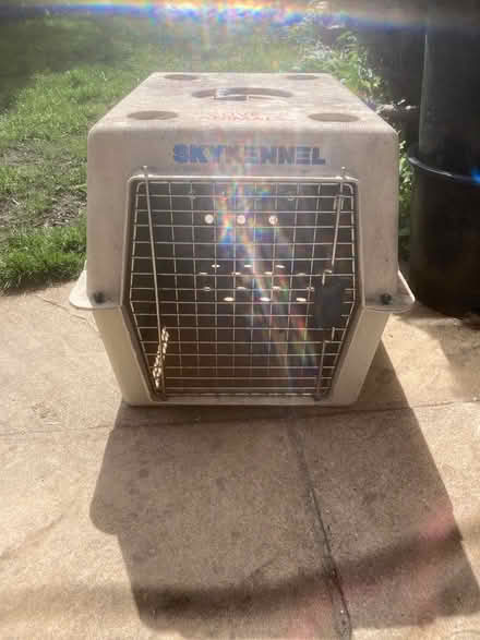 Photo of free skykennel (SW16) #1