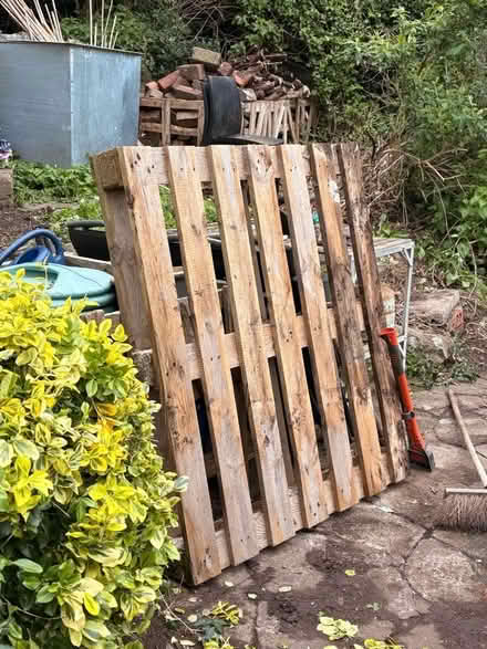 Photo of free Wooden pallet (in tact) (West Malvern CP WR14) #1